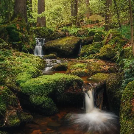 Korzo Couple Lejlighed