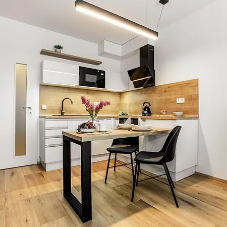 Apartment Korzo Couple Lipno nad Vltavou