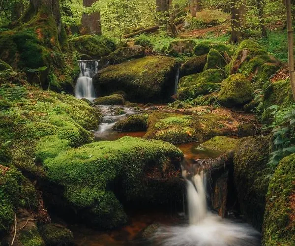 Korzo Couple アパート